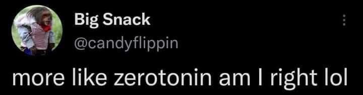 The meme is a screenshot of a tweet from the Twitter account @candyflippin. The text reads "more like zerotonin am i right lol" which is a playful and humorous way of saying "more like I am right, I am right" but with a reference to the popular phrase "more like" being replaced with "more like zerotonin am".